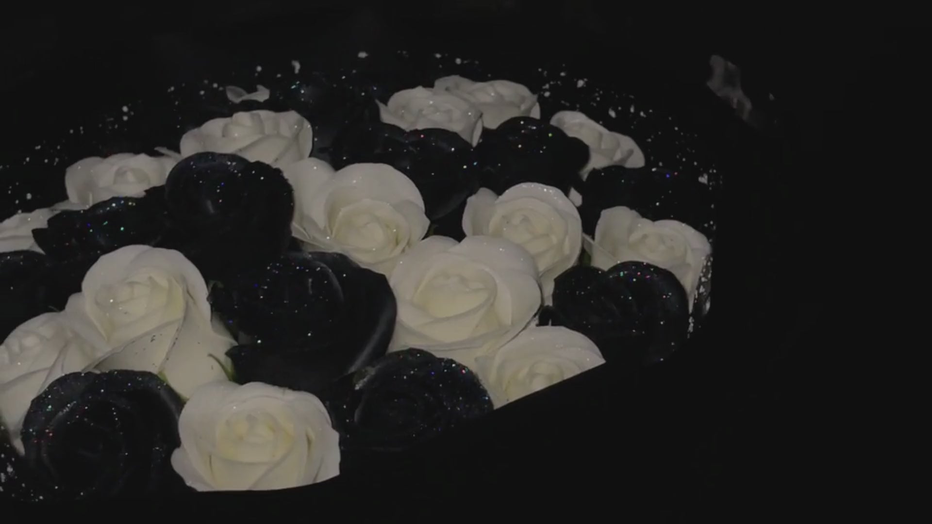 動画を読み込む: 